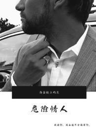 危险情人国语中字