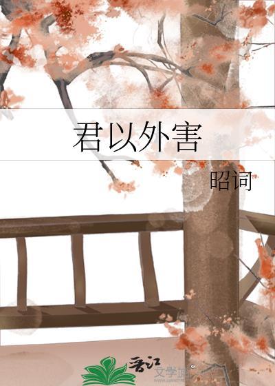 君以外害歌曲