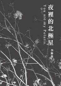 夜晚北极星在哪