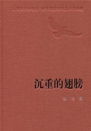 沉重的翅膀讲的是什么故事
