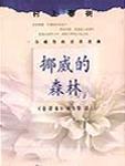 挪威的森林讲的是什么故事