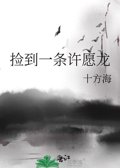 我捡到了许愿石