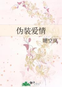 伪装的爱情歌曲