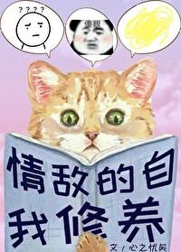 我的情敌是自己百度百科