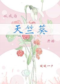 从火影开始晓天下