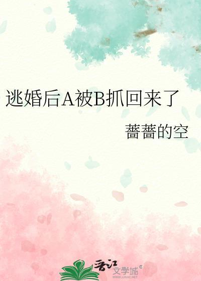 逃婚之后开车章节