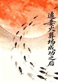 追妻火葬场完结文