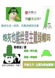 炮灰男