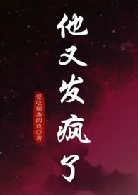 他又发疯了免费阅读