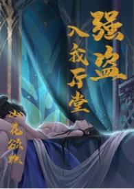 强盗是什么意思