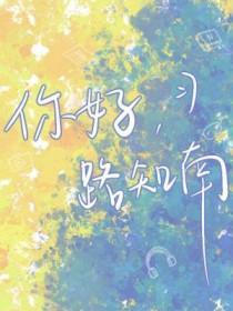 你好合肥南所