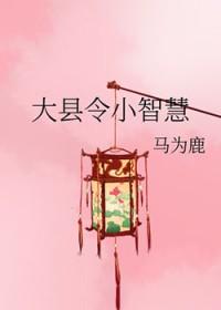 大县令小仵作格格党