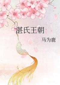 湛氏来源