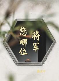 将军你在哪里