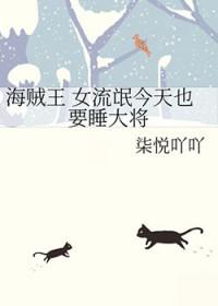海贼王 女流氓今天也要睡大将TXT