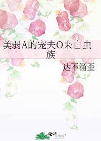 美弱a的宠夫o推文