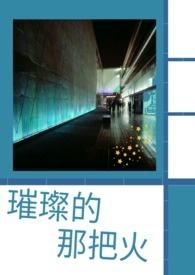 那片璀璨的星火一直是你为我闪烁是什么歌