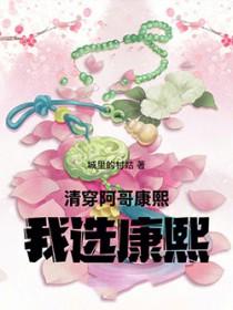 清穿康熙五阿哥的