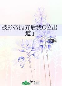 被影帝抛弃后我c位出道了txt