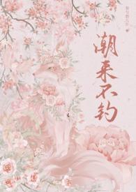 潮来潮往是什么意思