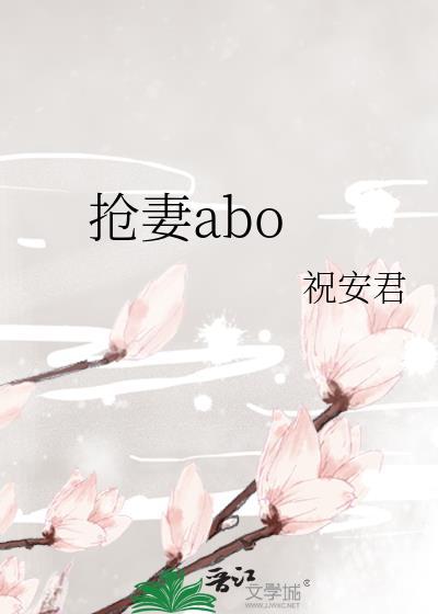 抢妻传