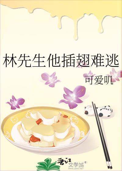 插翅难逃林先生是谁