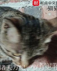 诸天万界 百科