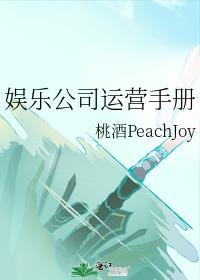 娱乐公司的经营模式