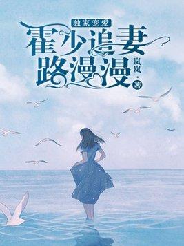 霍少轻虐追妻路漫漫