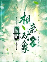 搞错相亲对象以后txt