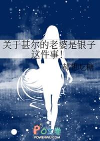 甚尔与银子的恋爱关系