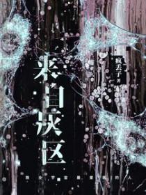 来自灰区番外