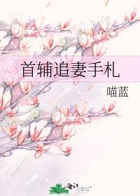 首辅追妻手札轻松