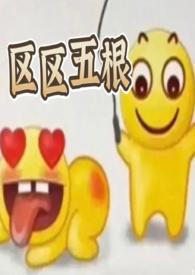 区区五根什么意思