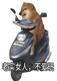 不爱玩(快穿)作者优美的矩形