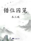 错位囚笼TXT
