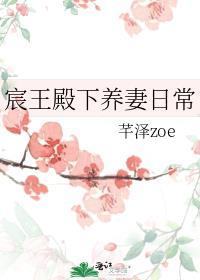 宸王殿下同人原创女主晋江