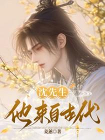 沈先生吧