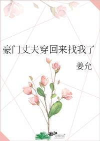 豪门丈夫穿回来找我了书评