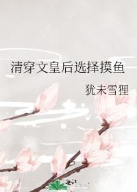 清穿为皇后的