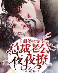 总裁老公夜夜宠