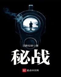 密战无声电视剧
