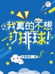 我真的不想打铁txt