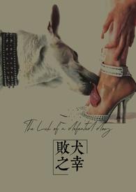 败犬狗图片