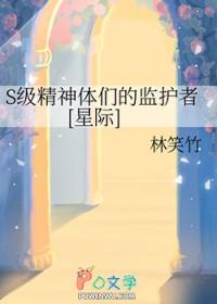 给S级精神体们
