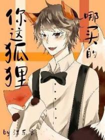狐狸去哪里买得到