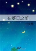 在落日之前txt资源