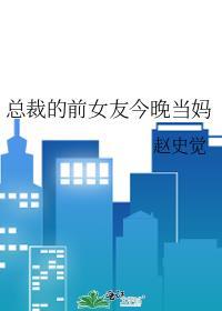 总裁的前女友今晚当妈宁叶边寻赵史觉