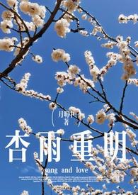 杏雨梨云什么意思