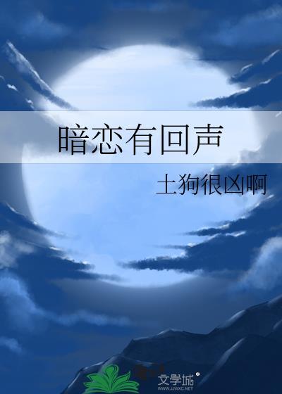 暗恋有回声gl txt